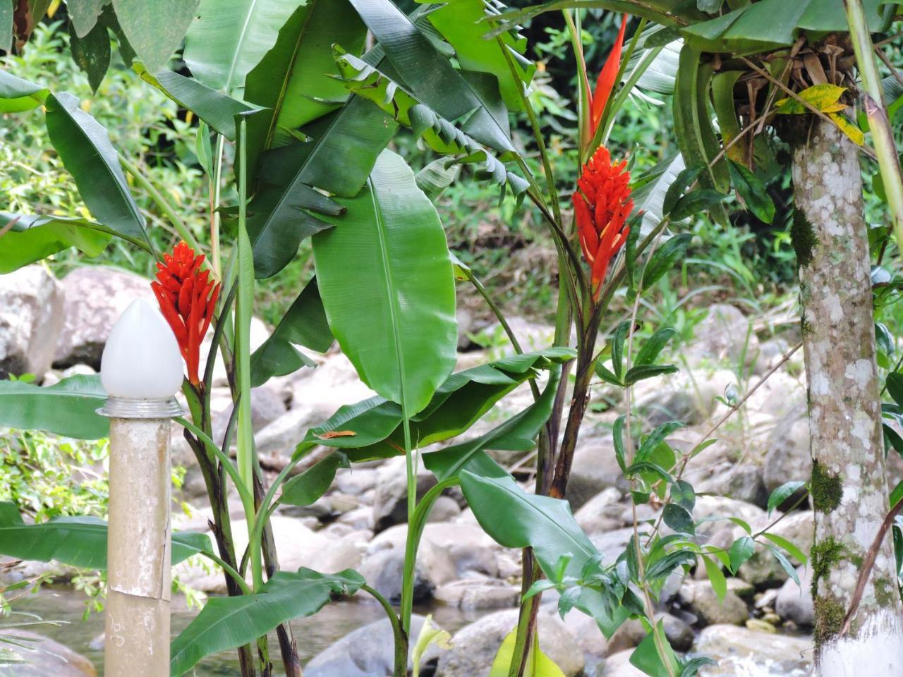 Pousada Da Cachoeira Taquari Paraty Exterior photo